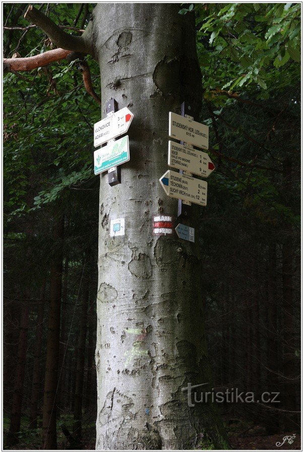 旅游十字路口 Studenský les，上