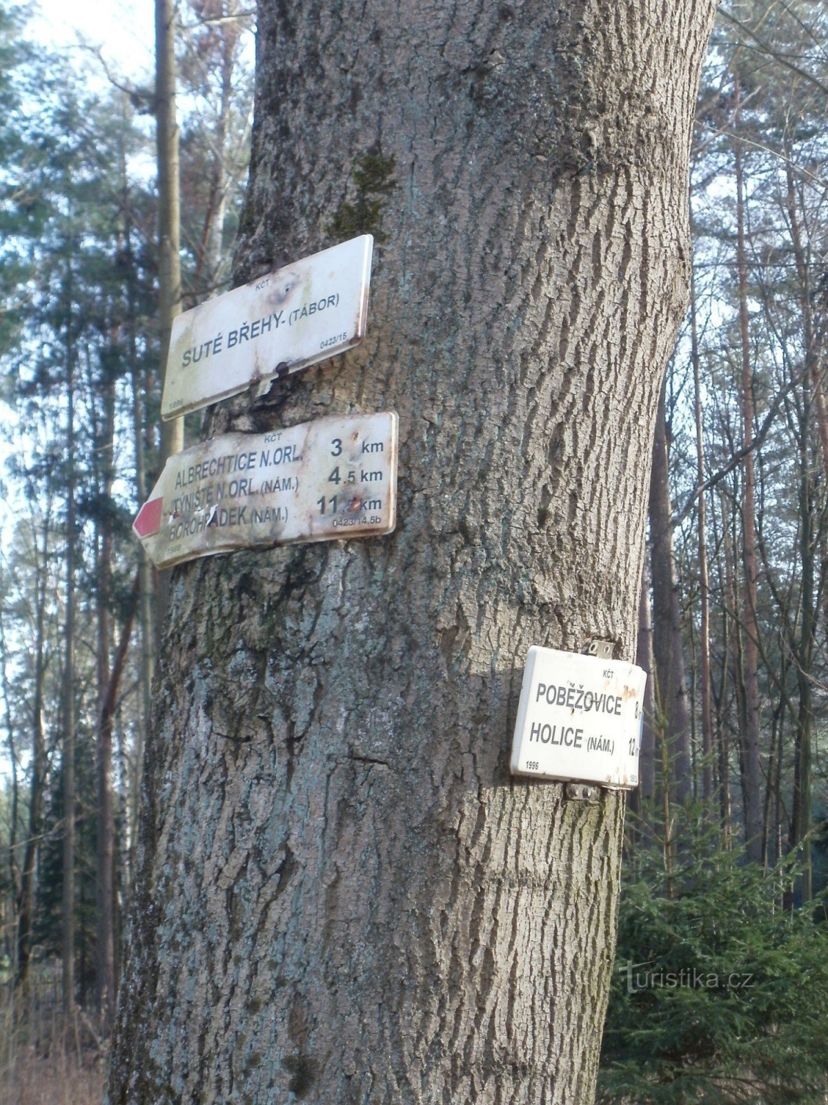 turistické rozcestí Suté břehy - tábor