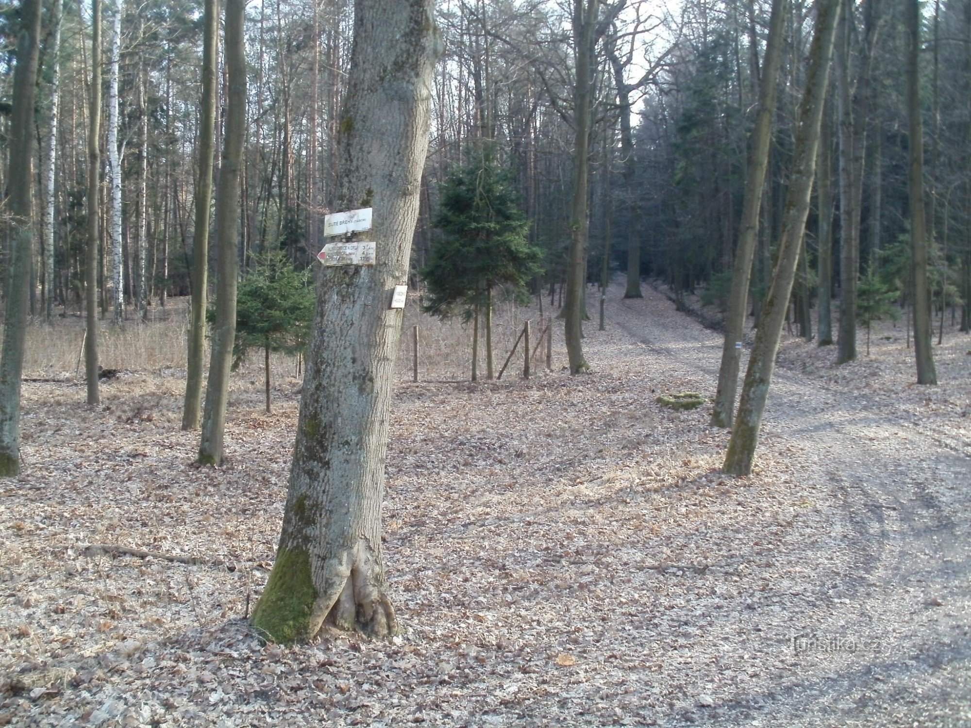 turistično križišče Suté brehy - kamp