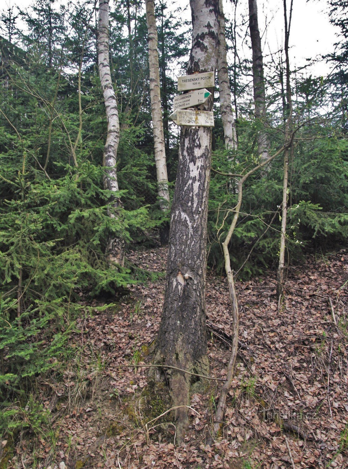 Touristenkreuzung Tresenský potok