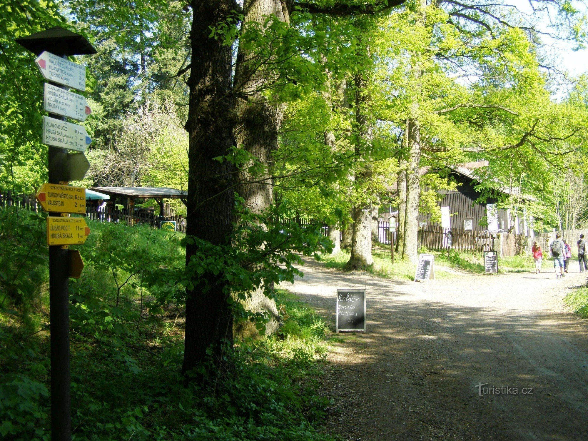 encruzilhada turística no Bukovina Arboretum