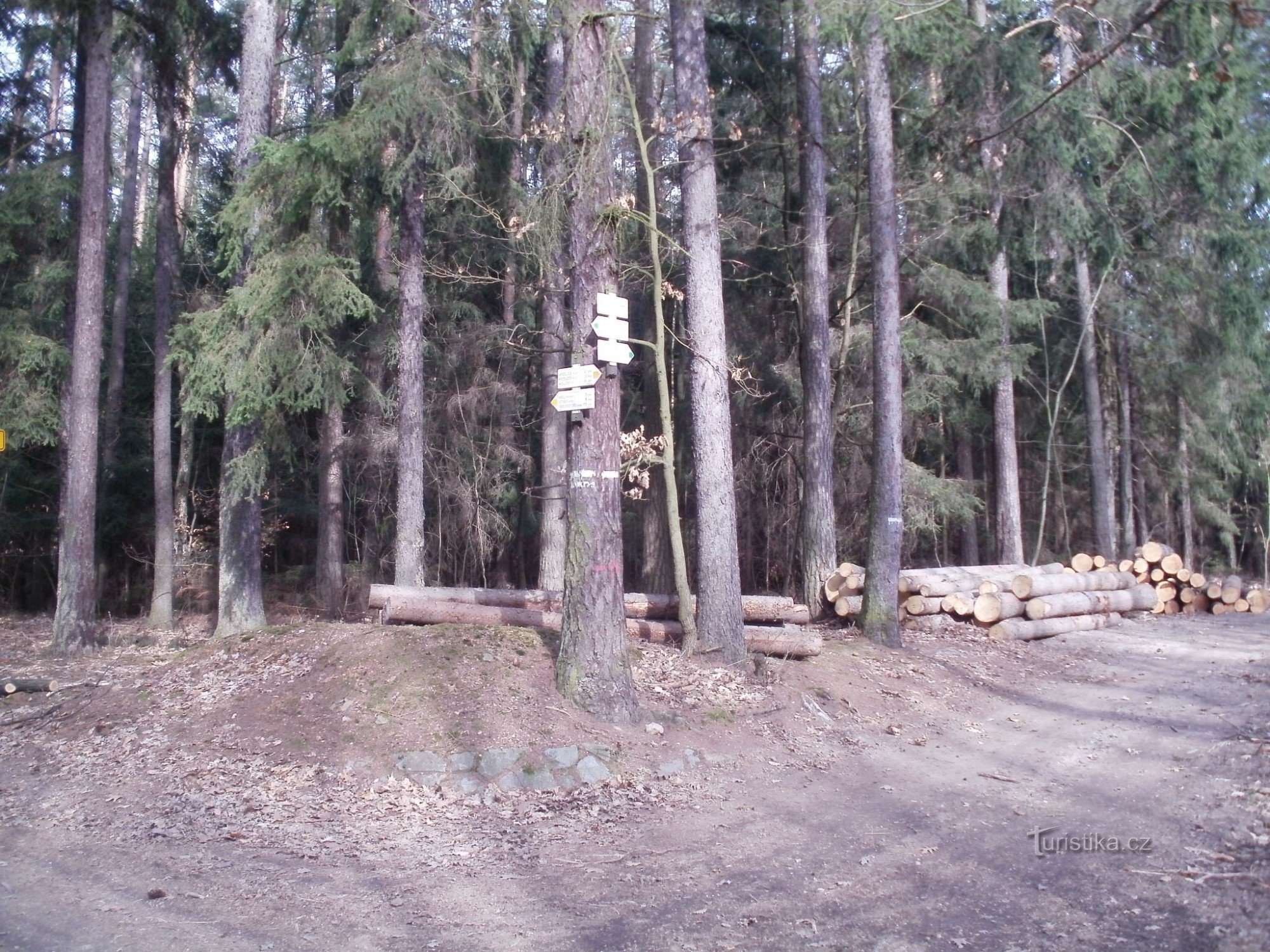 rozdroże turystyczne park U Chvojenecké