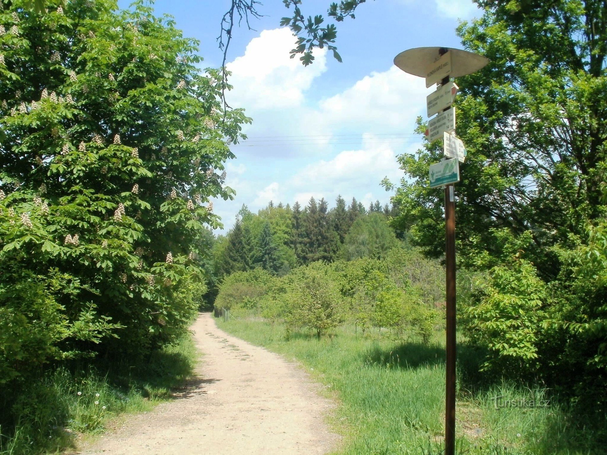 encruzilhada turística perto de Hlohová kaple