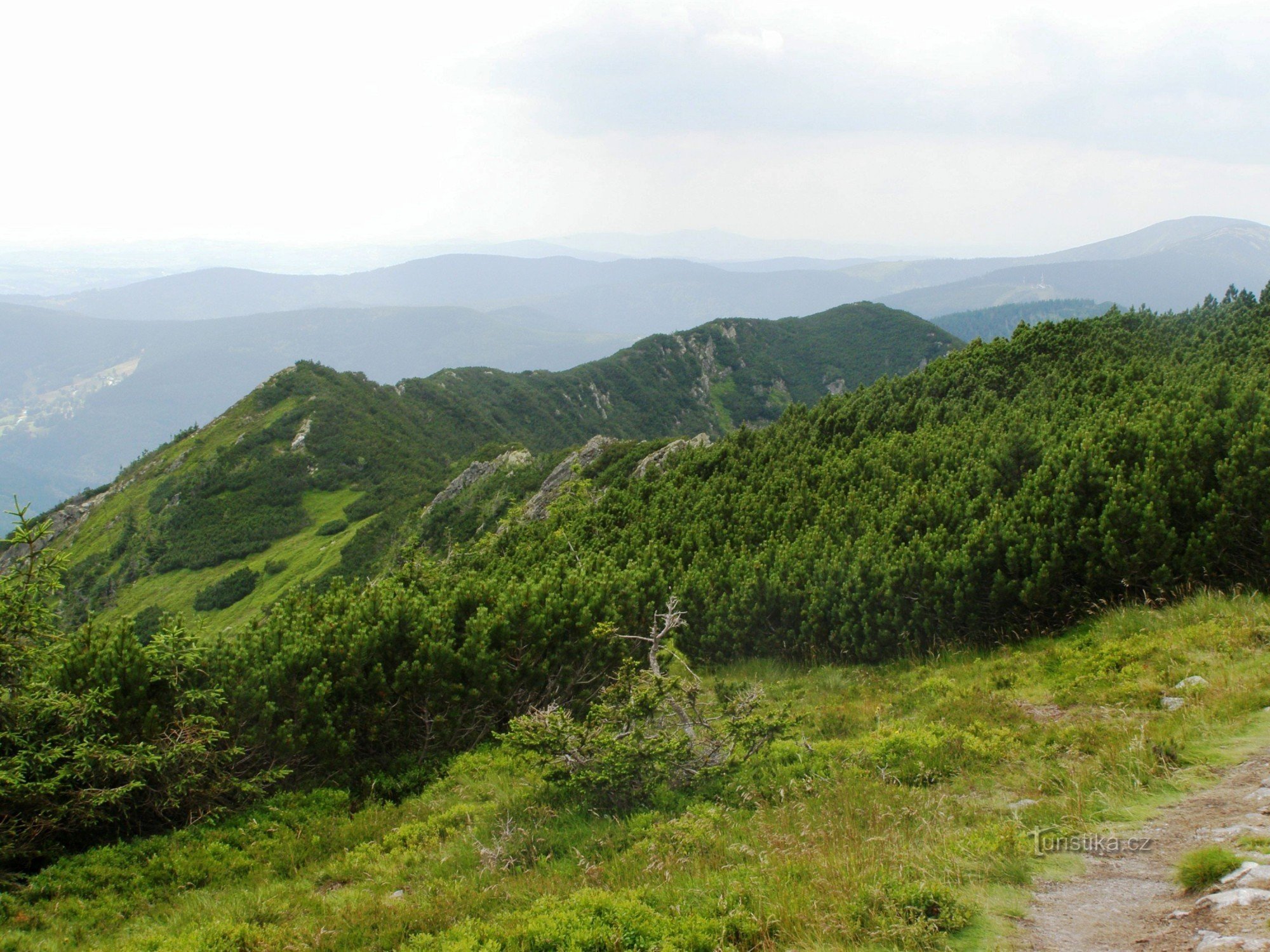 tourist crossroad near Kozí hřbetů