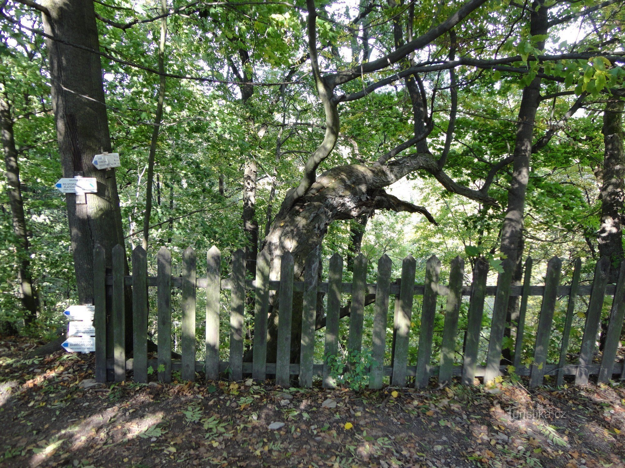 toeristisch kruispunt bij de Rýzmbursky gazebo