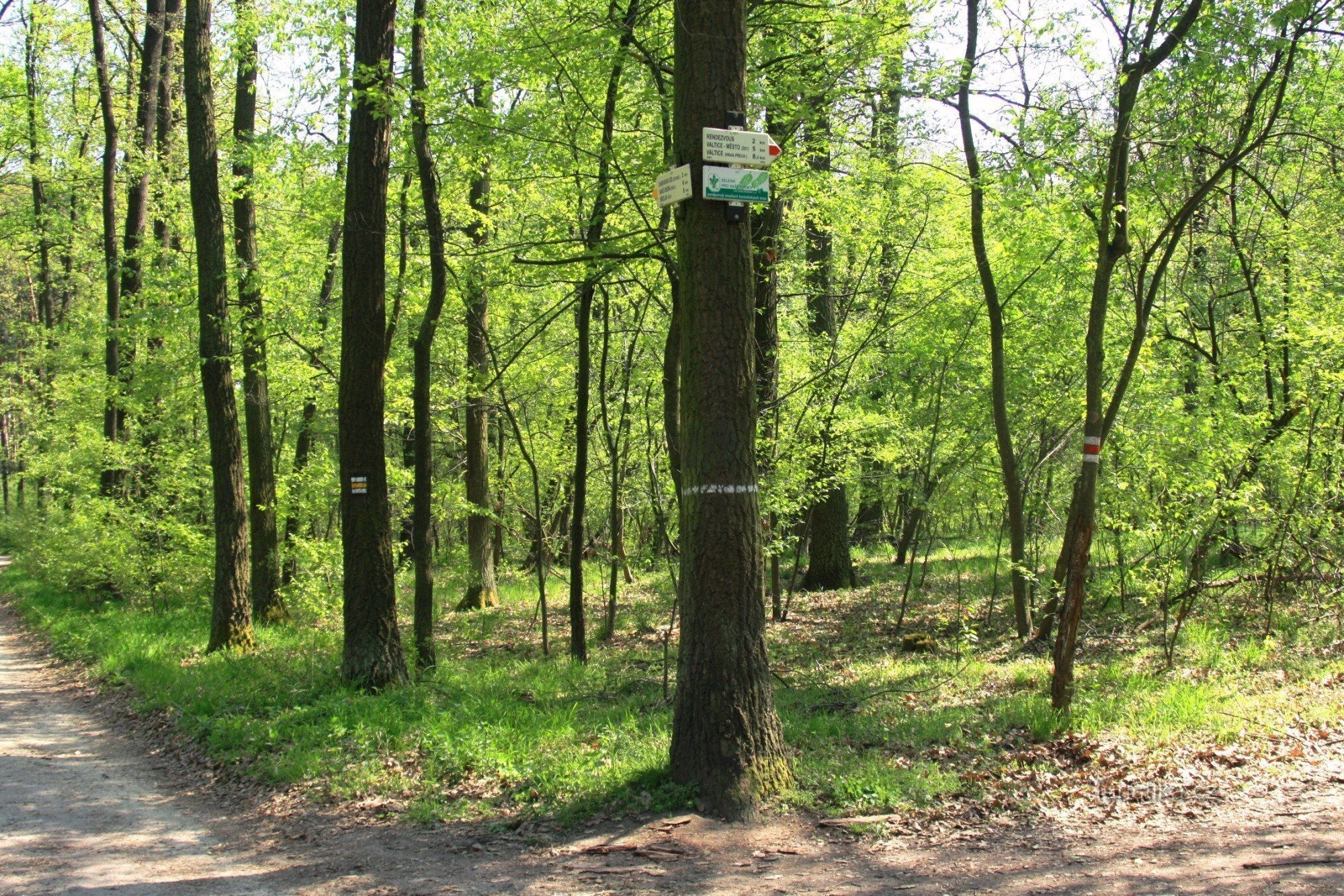 Encruzilhada turística U svatého Hubert