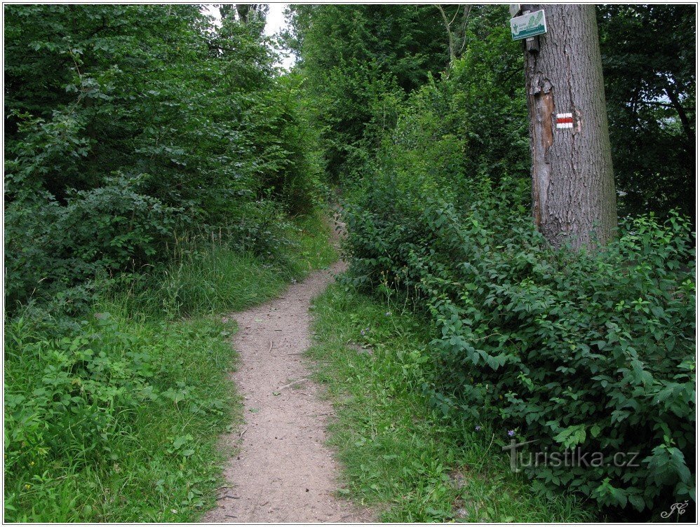 Tourist crossroads Uzké