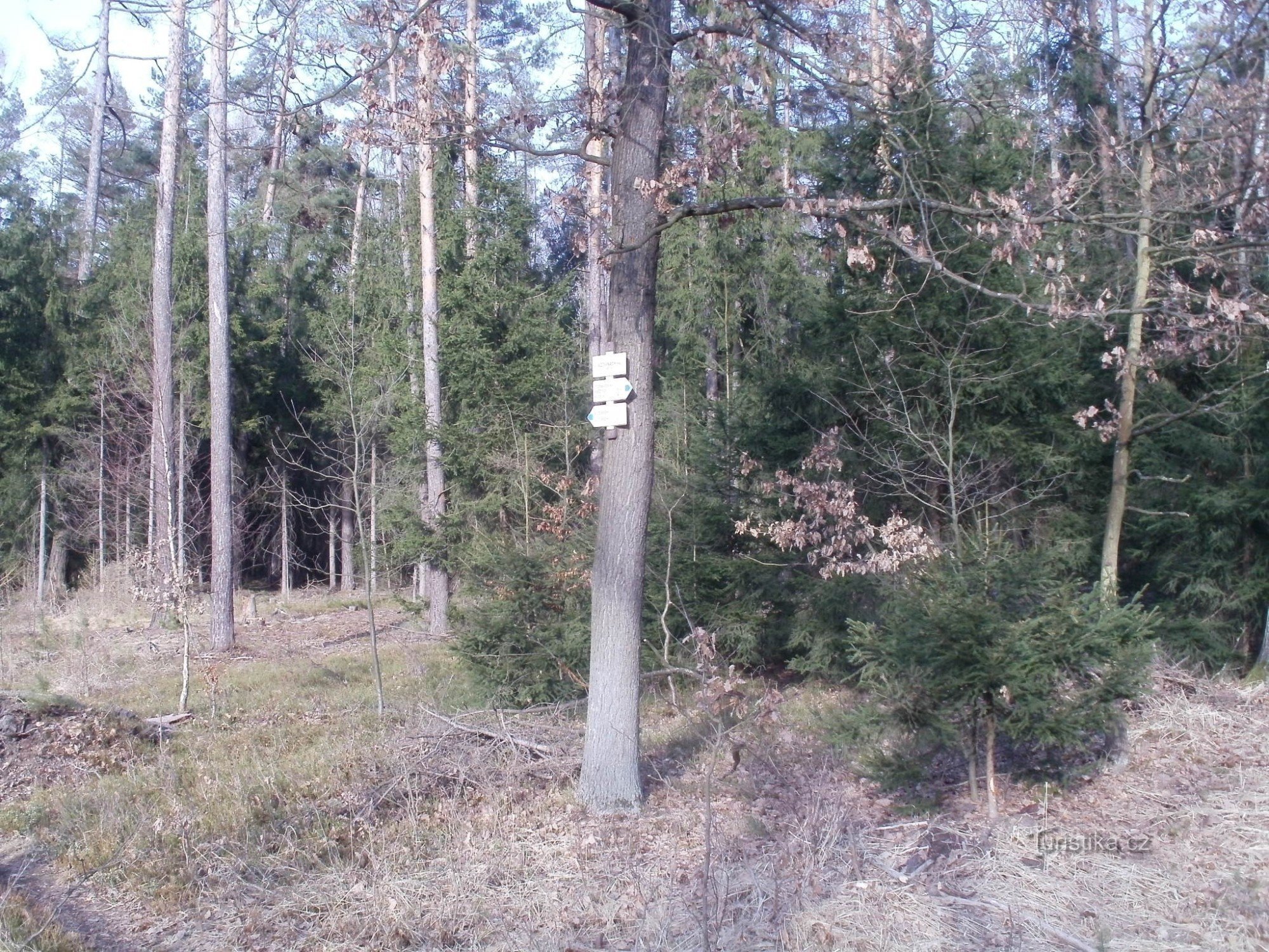 toeristisch kruispunt in Jezoviny - wildreservaat