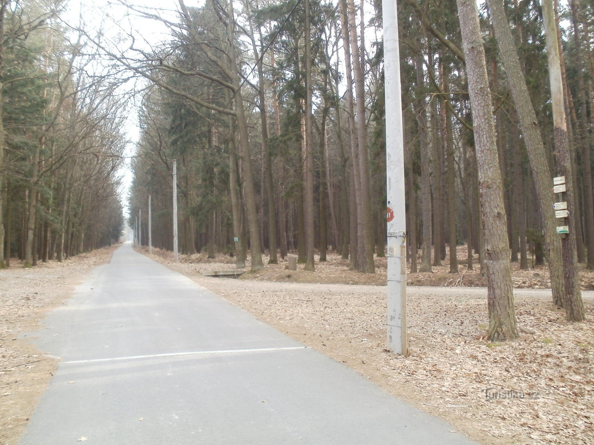 tourist crossroads Ve Vlčí jamách - Hradecké lesy