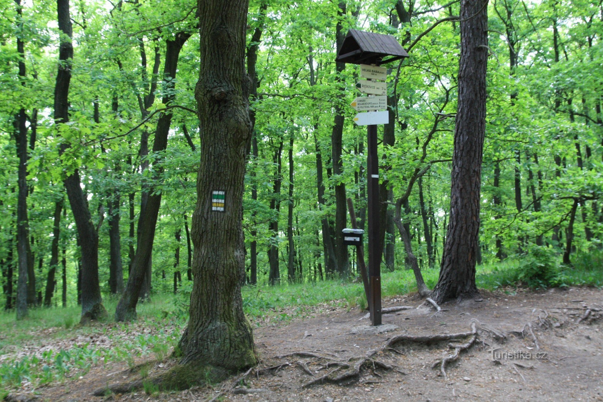 Tourist crossroads Velká Baba crossroads