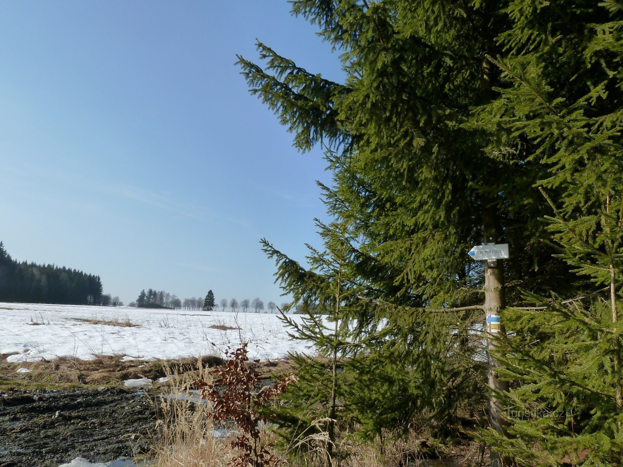 crocevia turistico Velký les (crocevia)