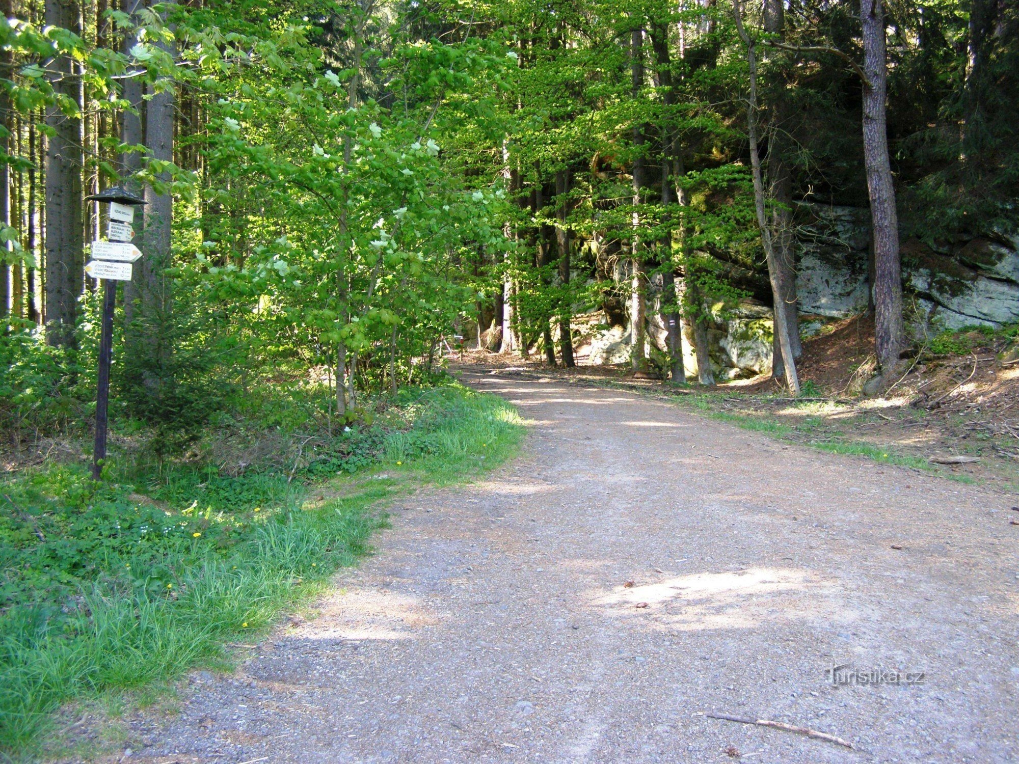 Věžické údolí turistično križišče