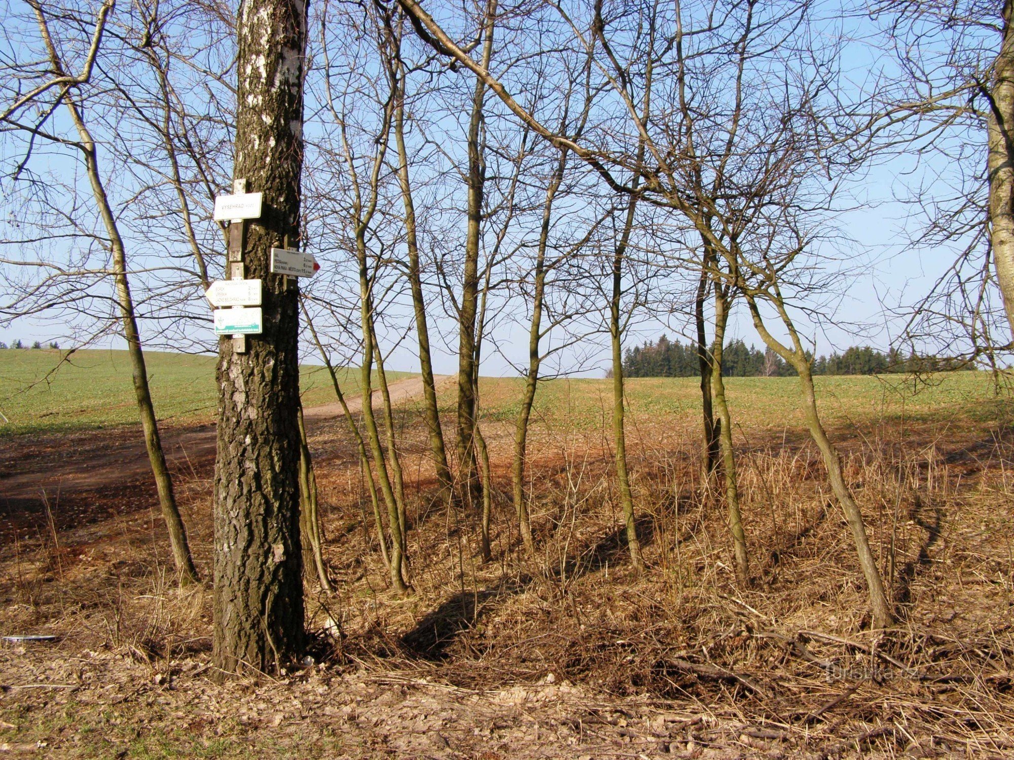 turystyczne skrzyżowanie Wyszehrad