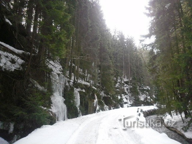 Ponte turistico (Kyjovské údolí) - Wiefberg (torre panoramica DE)