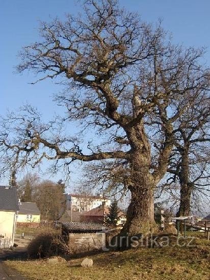 Fästning 1: Det är troligt att fästningen skapades bland annat för att skydda sadelbanorna