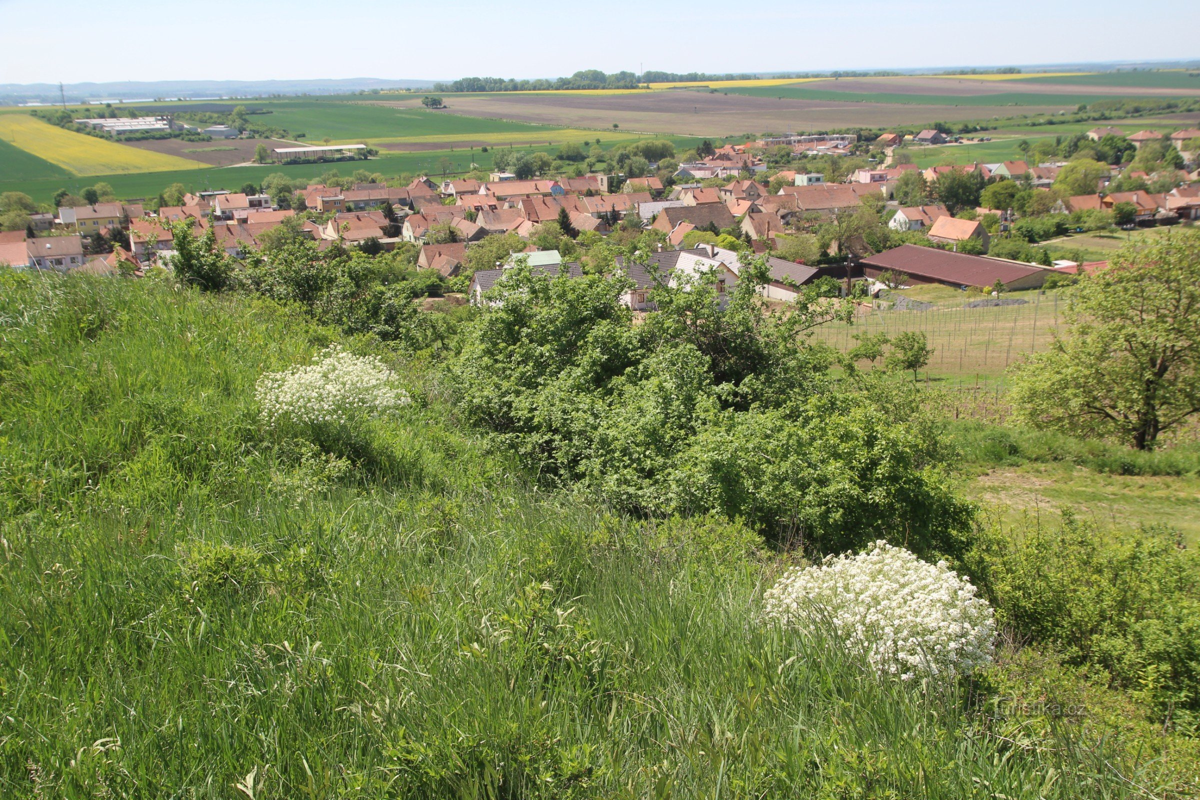 La forteresse est également une localité steppique importante, le katran oriental en fleurs