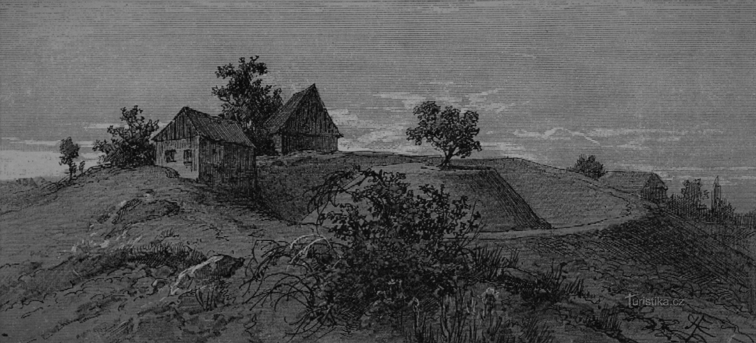 Tvrziště v Batňovicích koncem 19. století