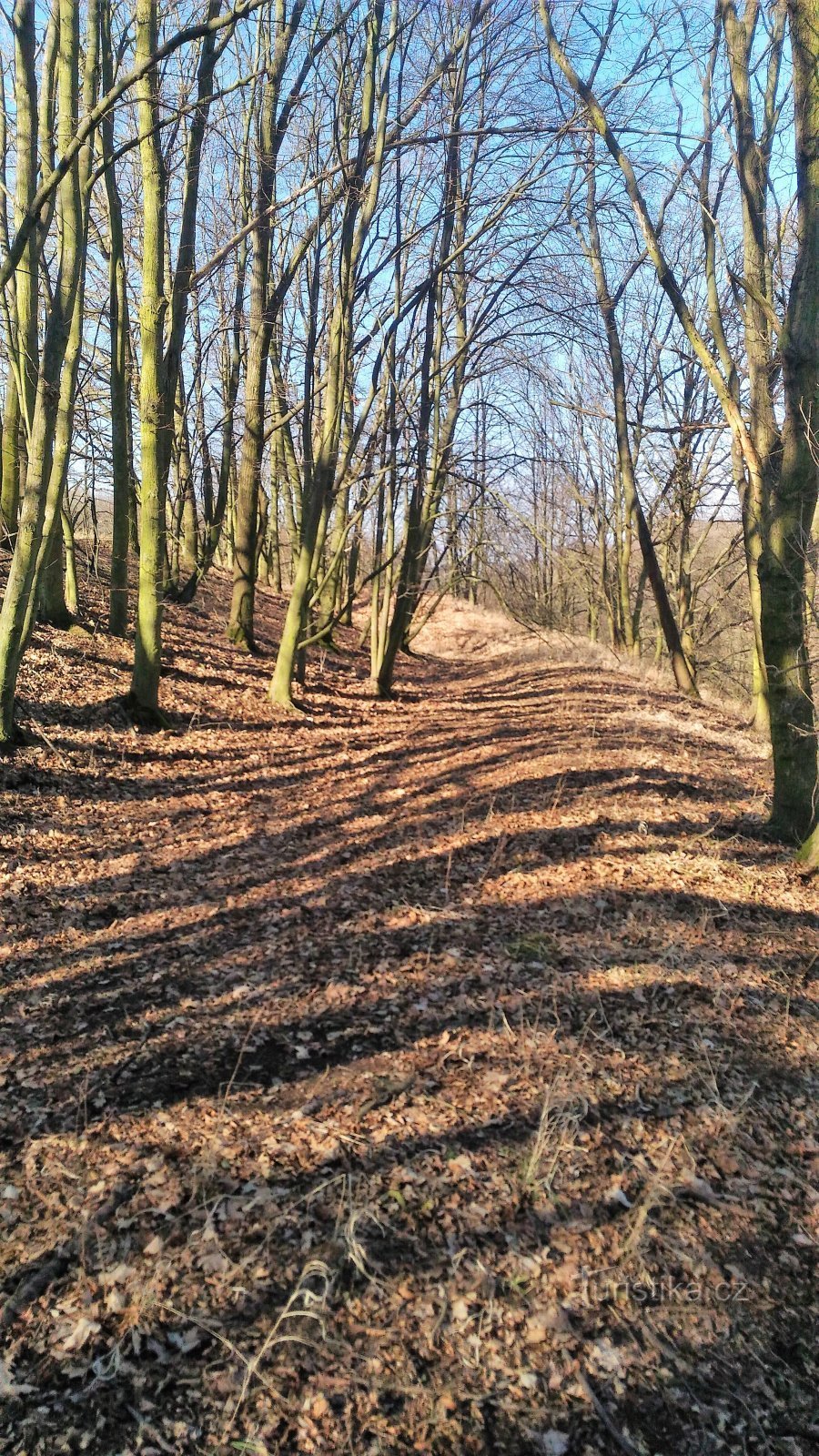 Forteresse de Žichov