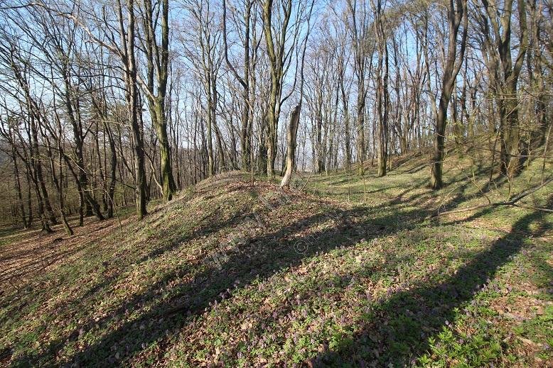 Týn nad Bečvou
