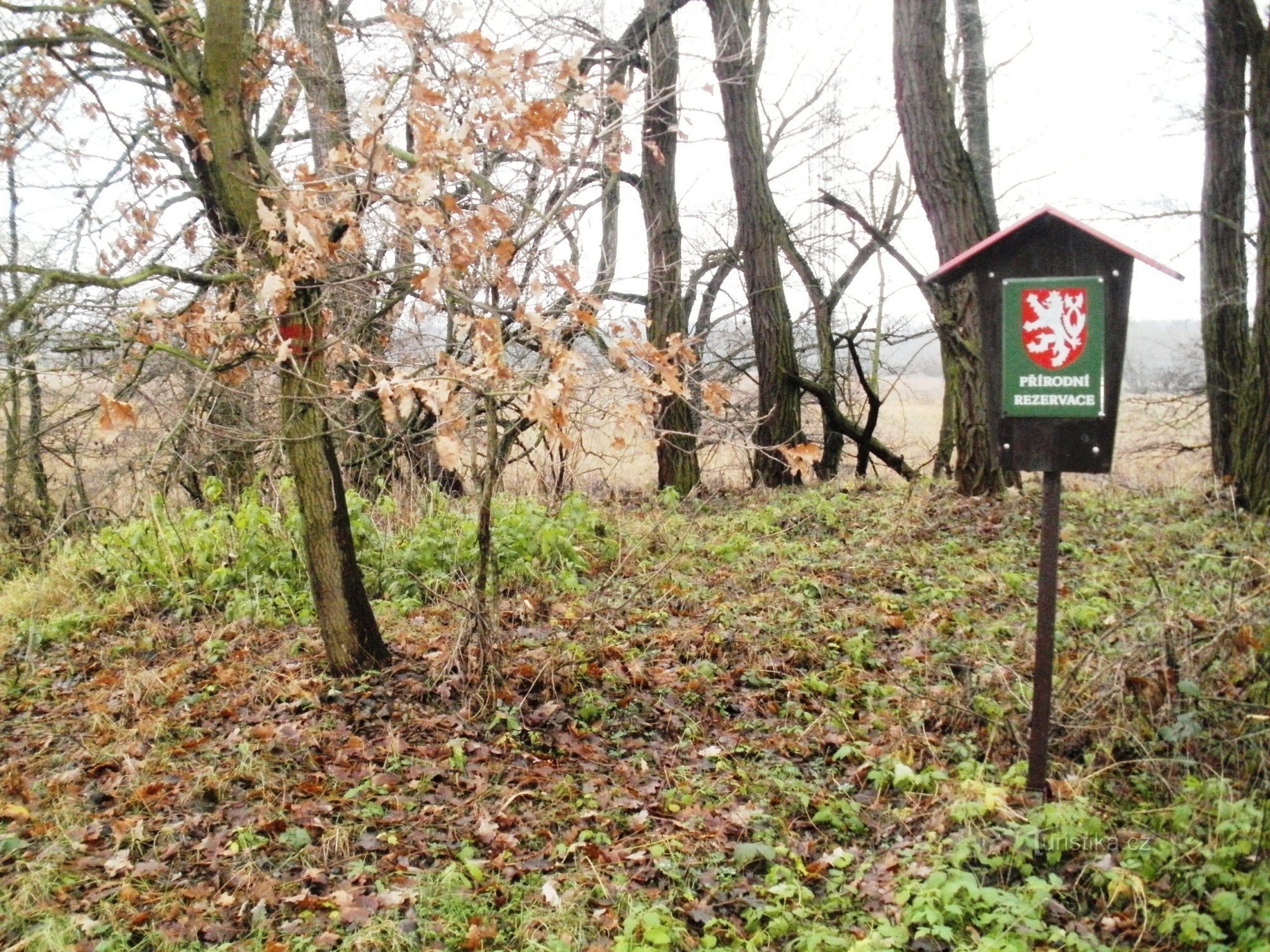 Водно-болотні угіддя Тинець