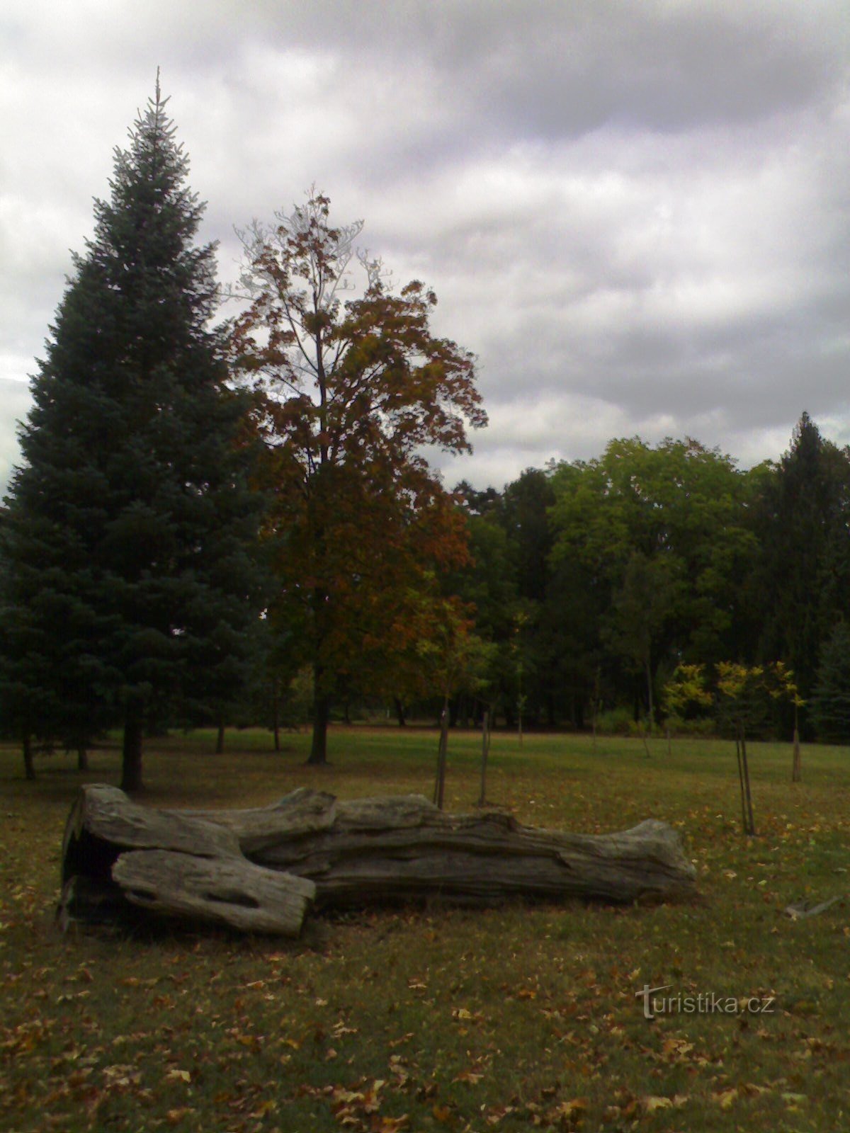 Týniště nad Orlicí - Kommunal park