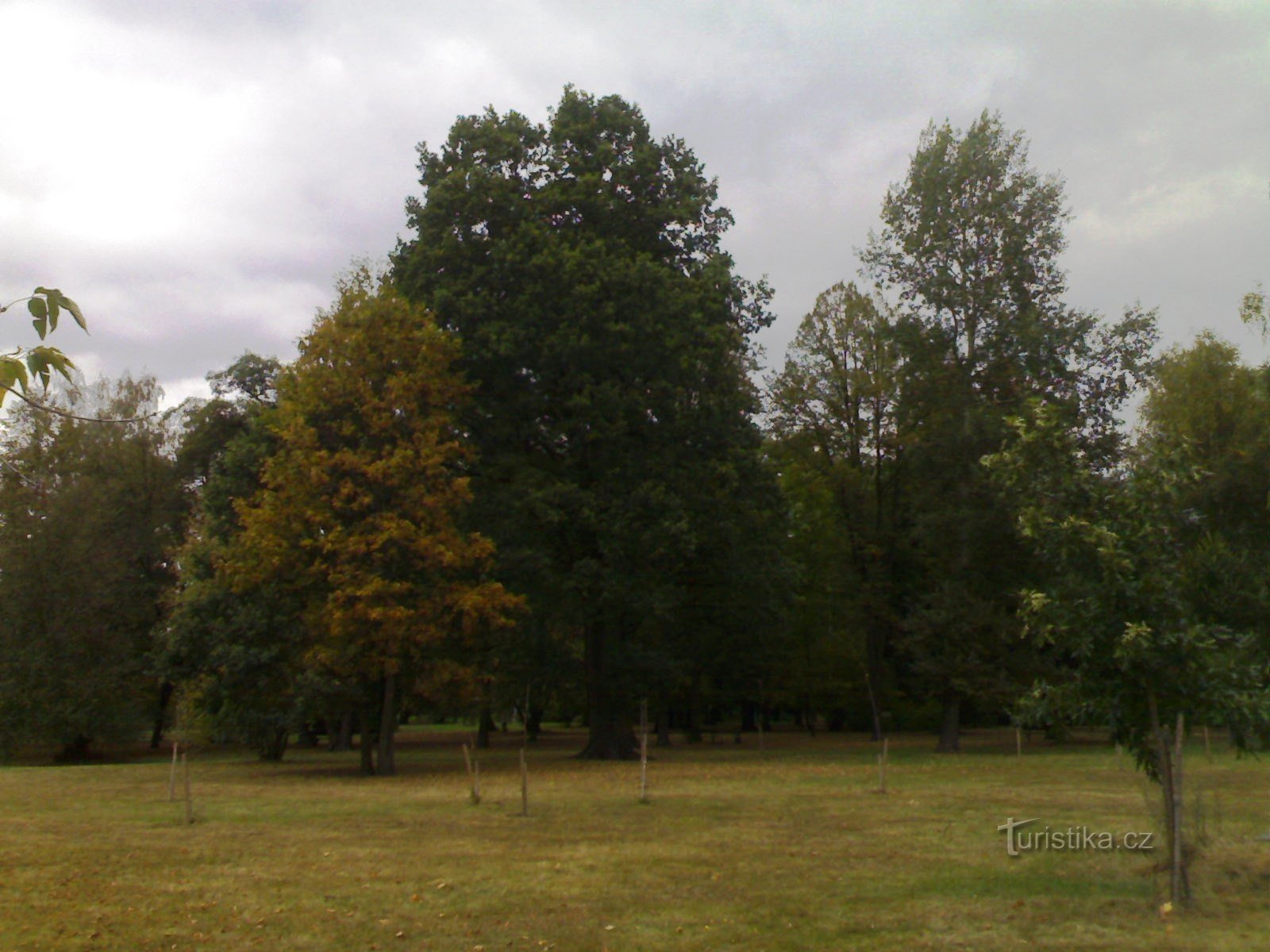 Týniště nad Orlicí - Mestni park