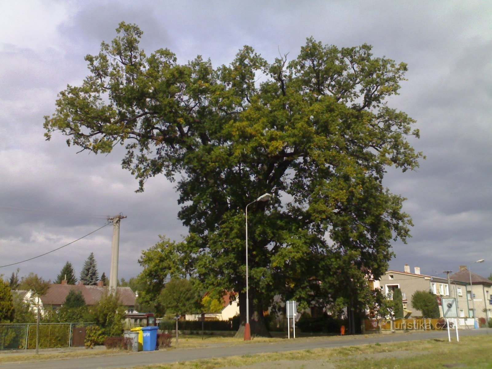 Týniště nad Orlicí - stejar memorial