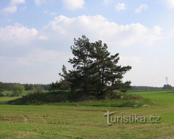 typische Landschaft von PP Třebíčsko