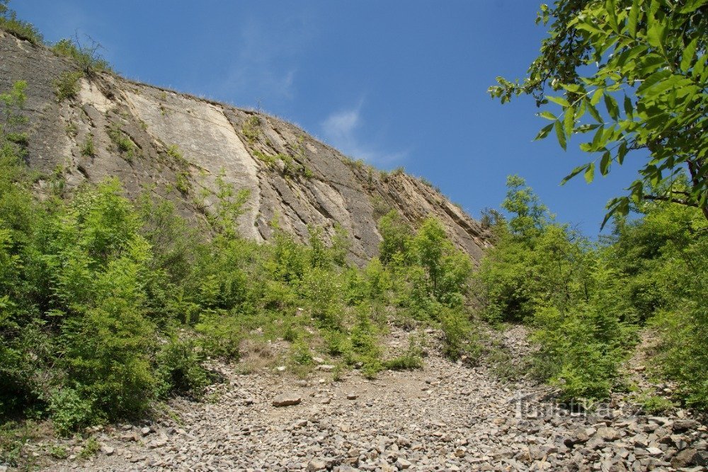 tipična NS scenografija