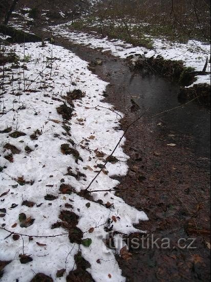 турецька жінка