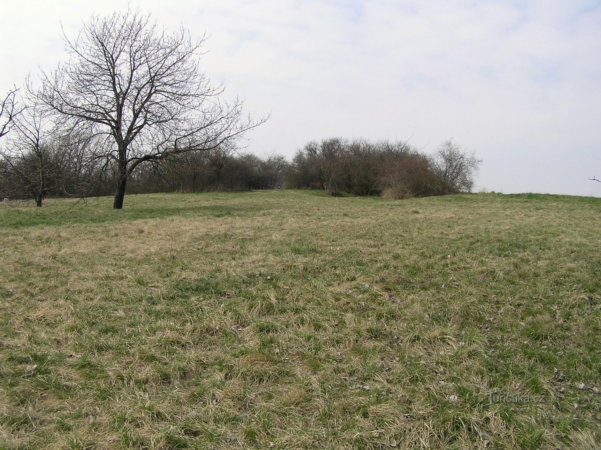 En arcilla blanca - (Abril 2011)