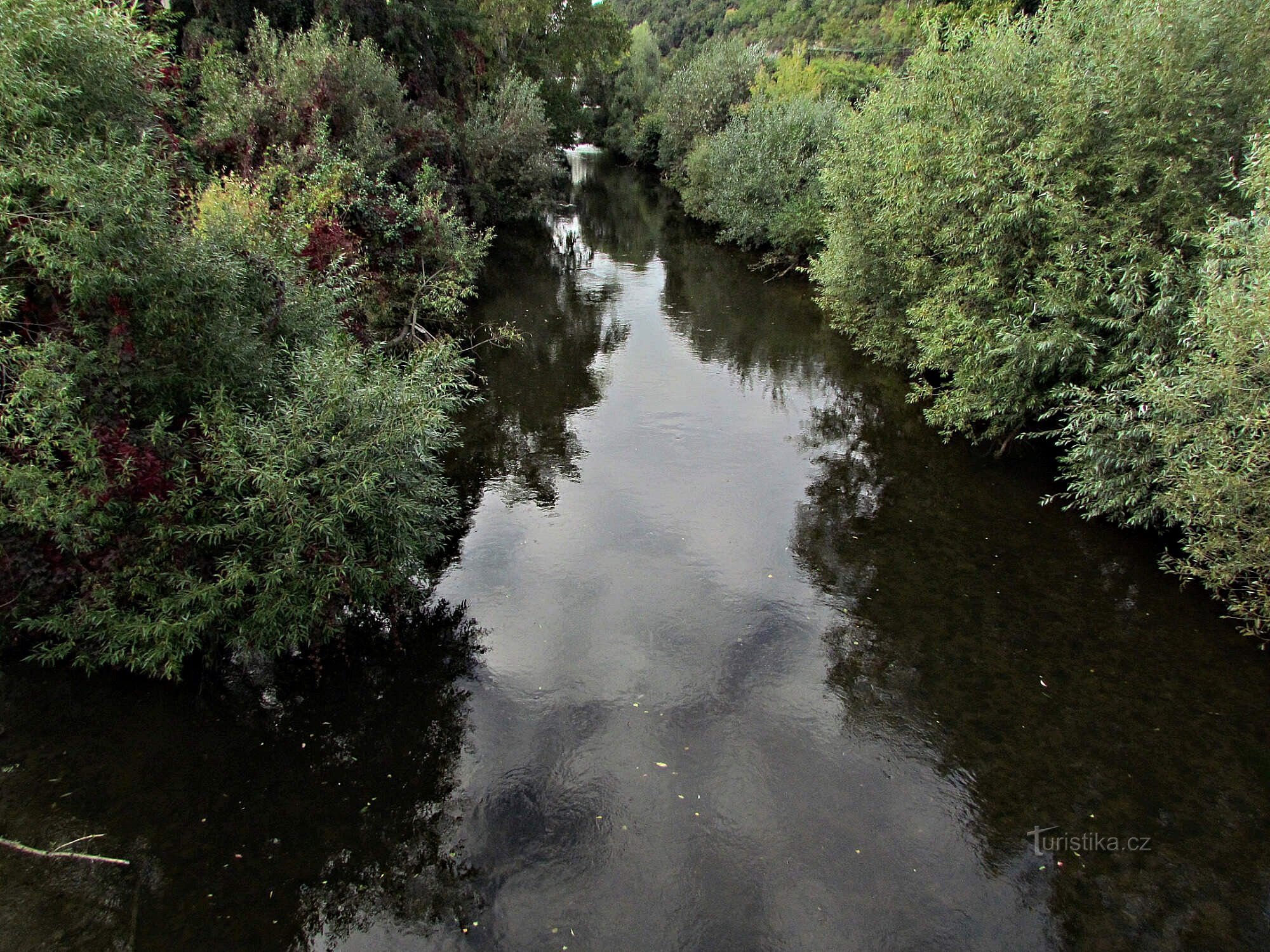 on the banks of the Svratka