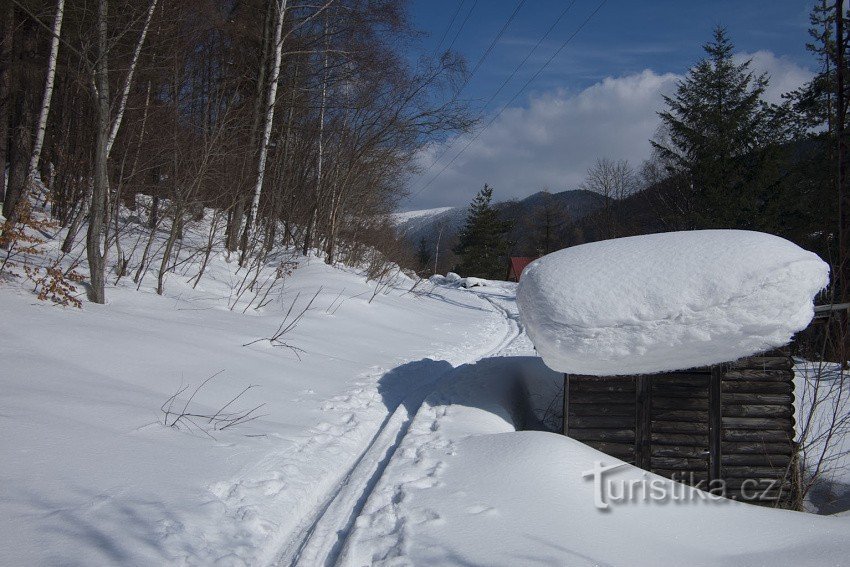 在小屋定居点