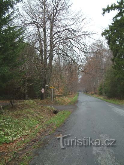 En casa de Dětrichov