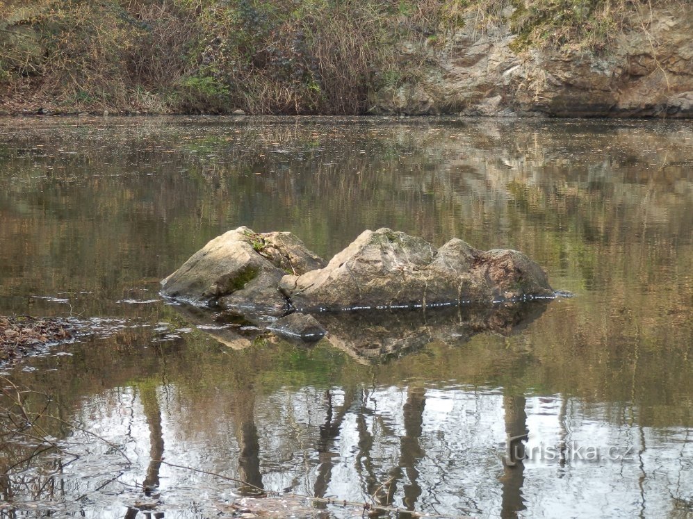 At the water level