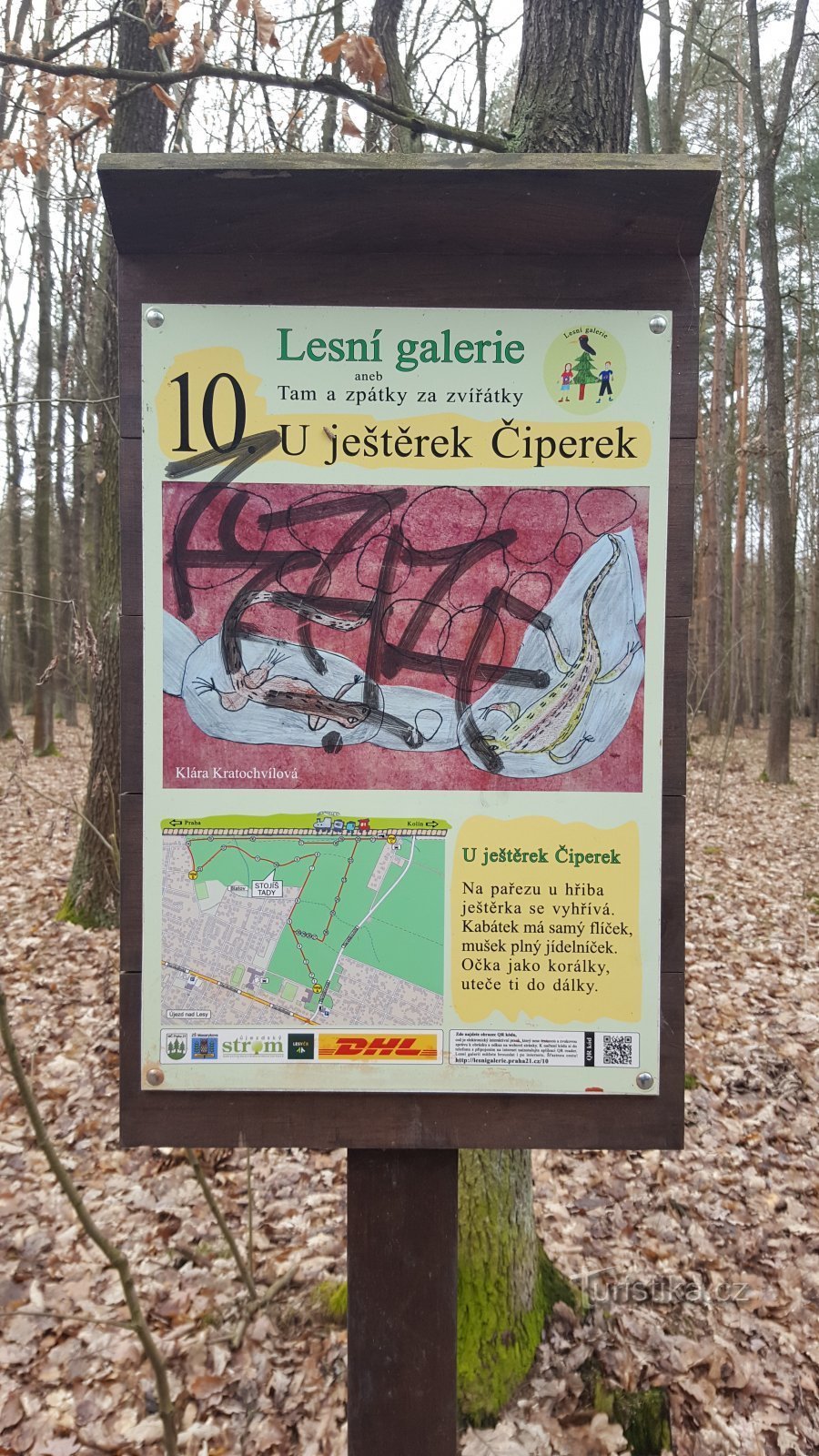 Chez les lézards de Čiperek