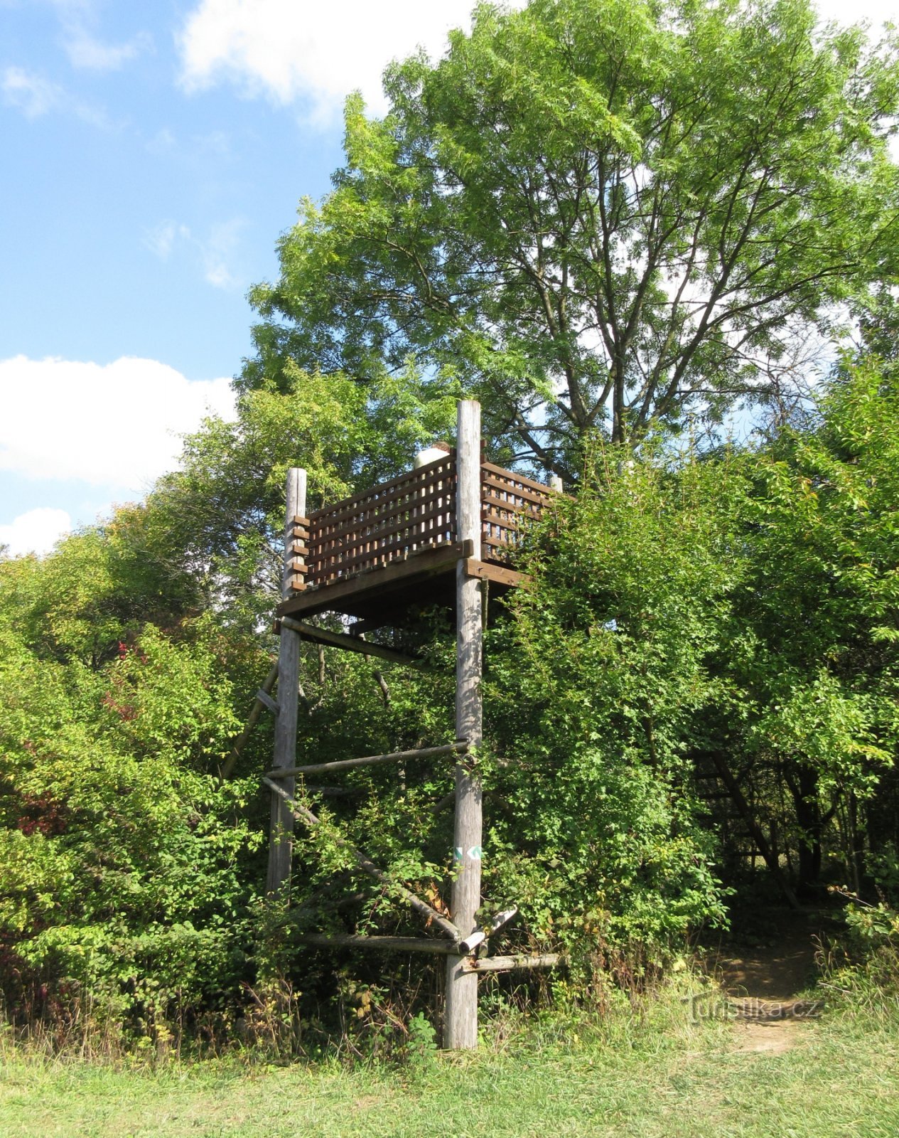 By the lake - Forest nature trail with observation deck