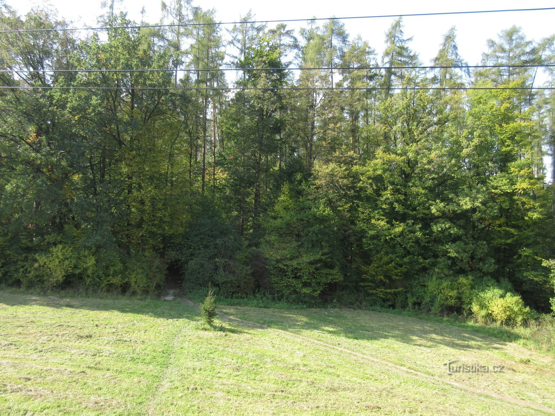 Vid sjön - Skogsnaturstig med utsiktsdäck