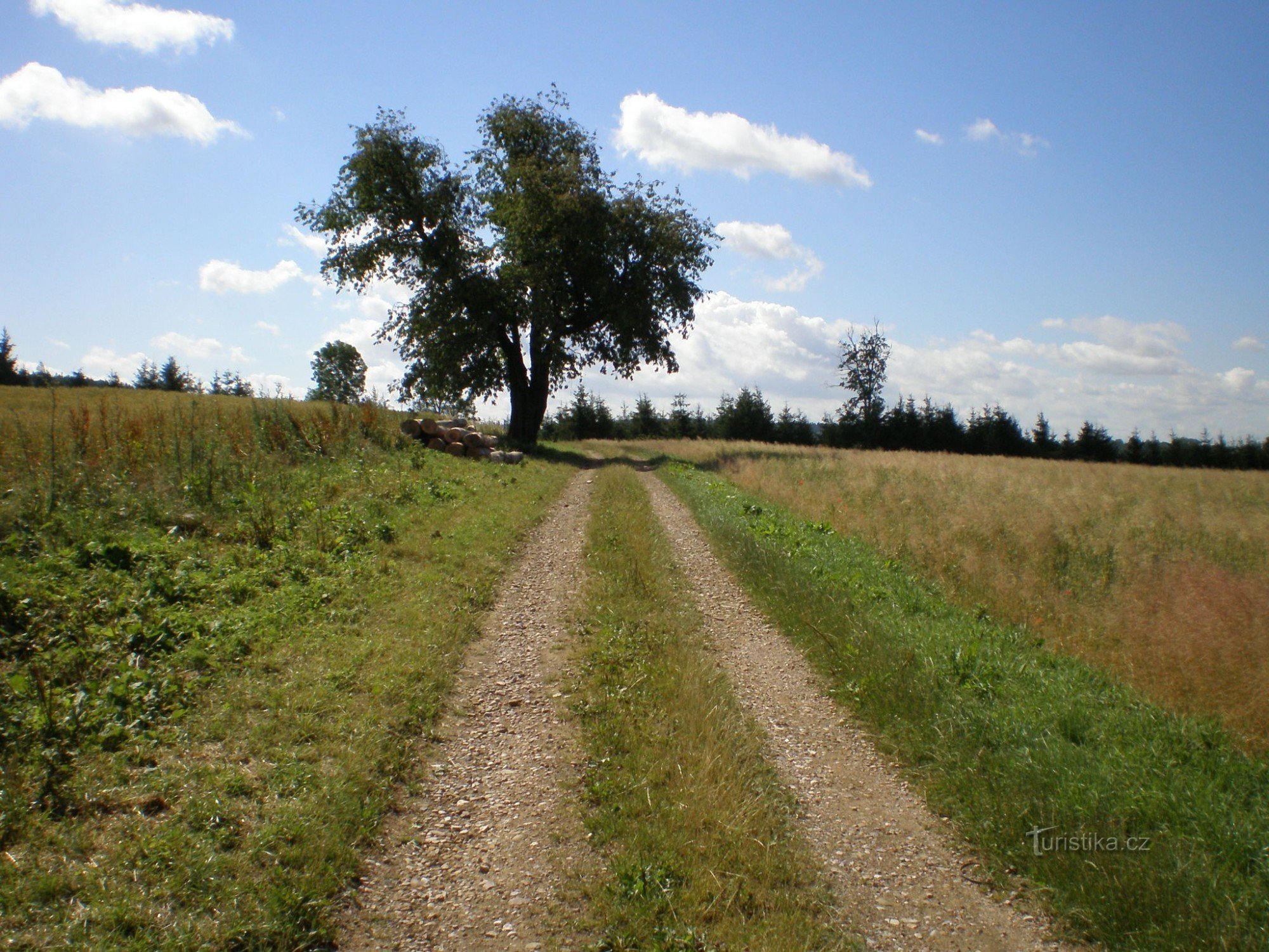 En Kaliště