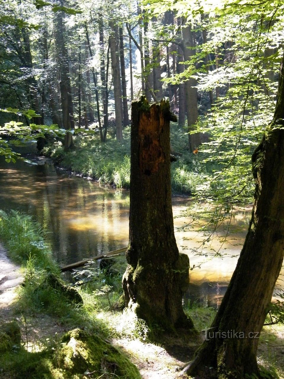 in de buurt van Kamenice