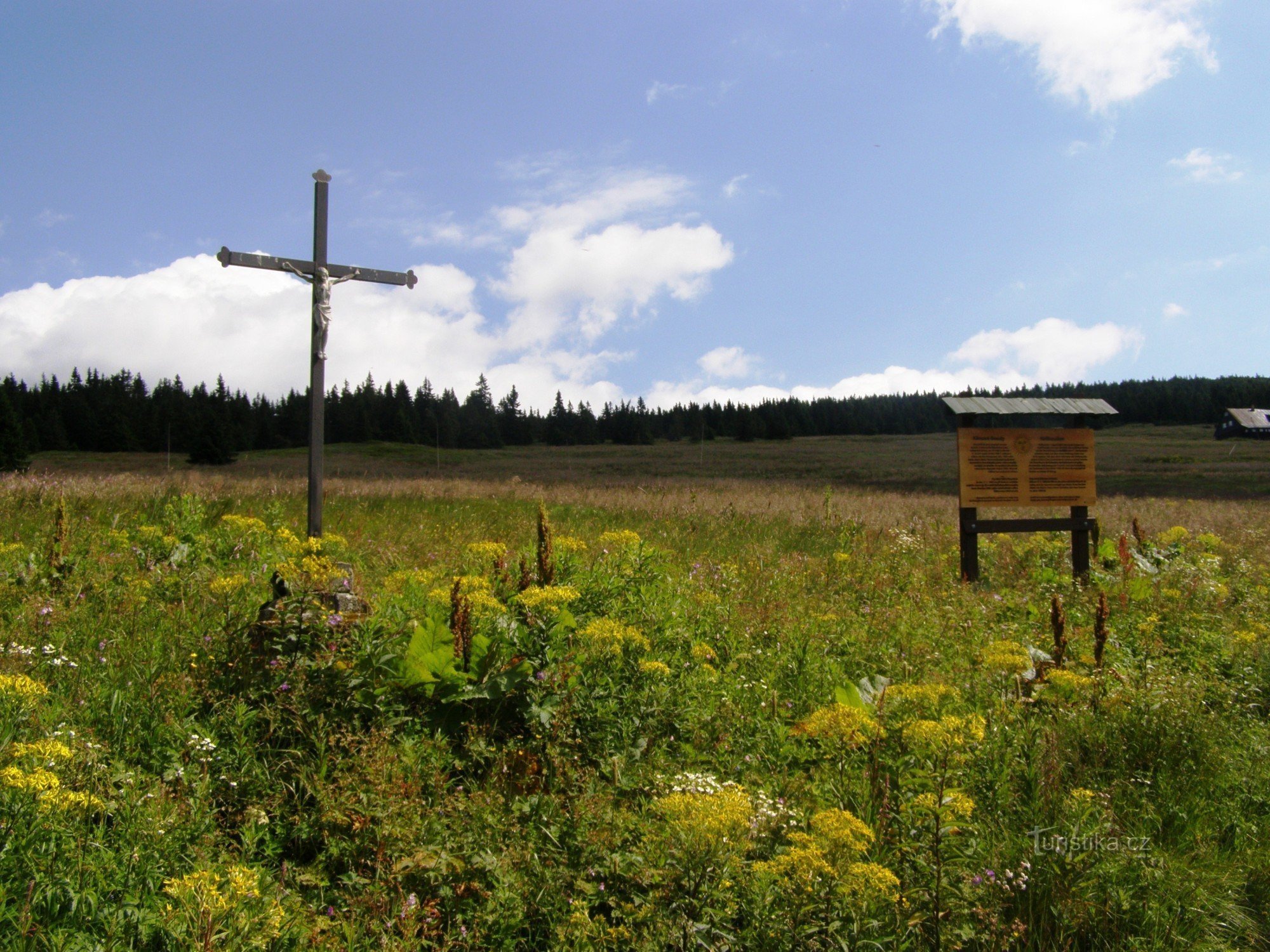 en el brote de Klínový