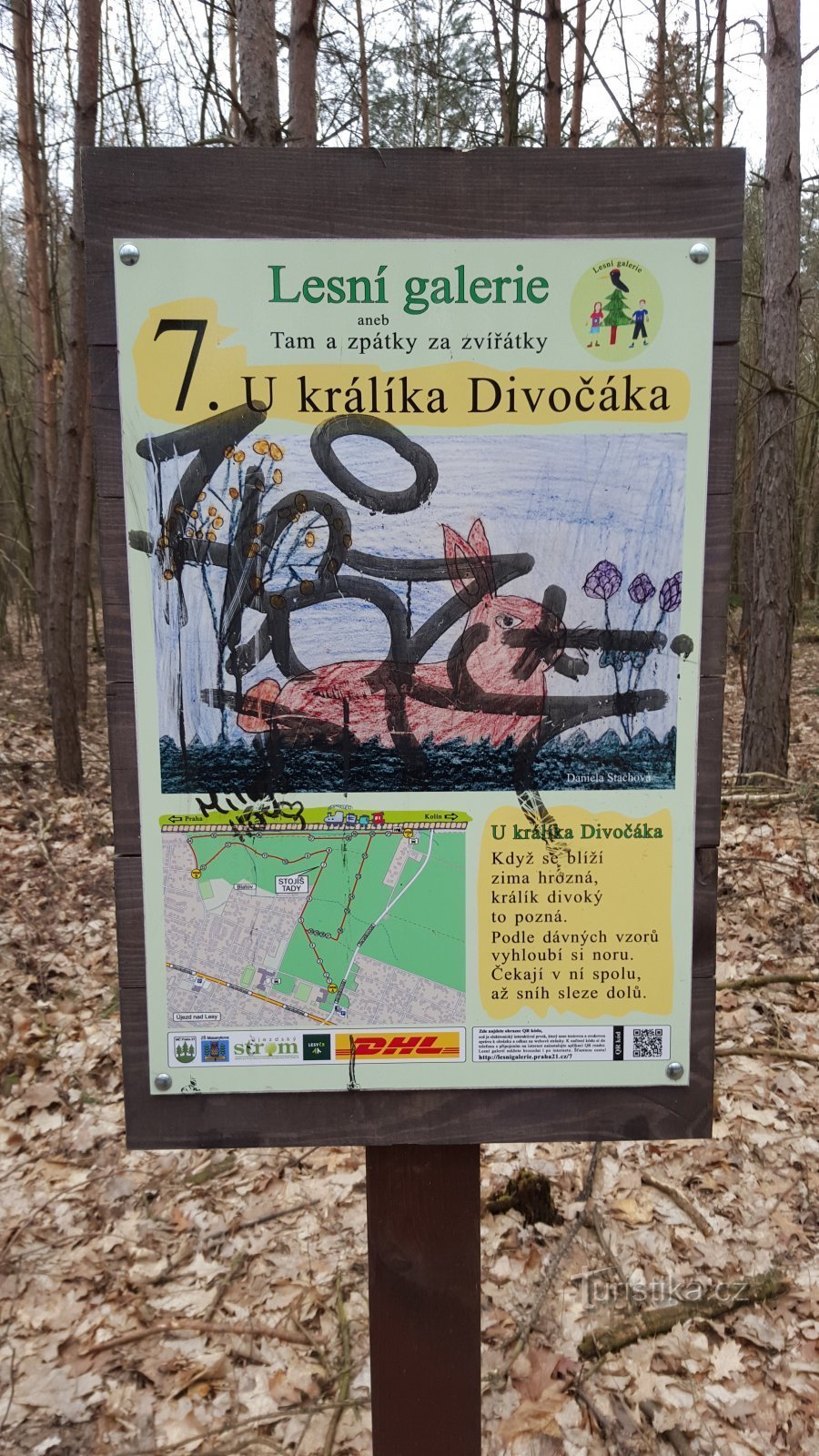 Pri Divjem zajcu