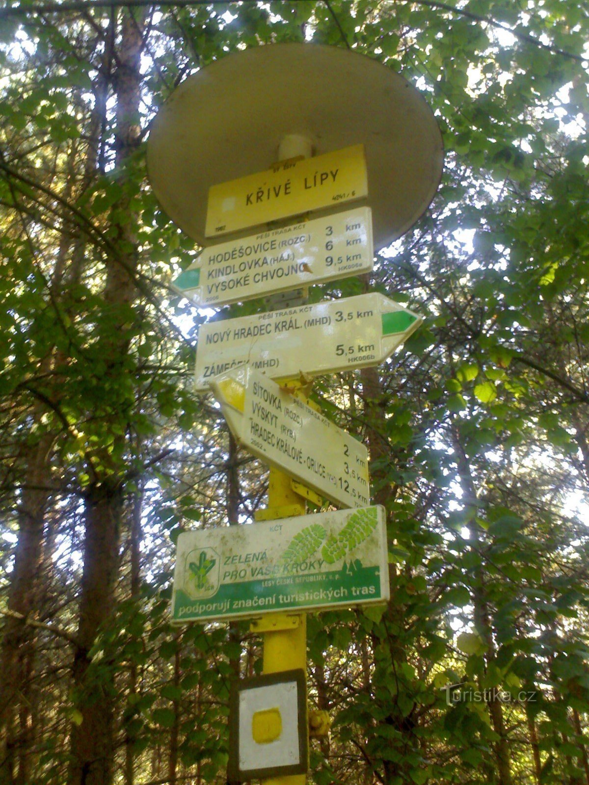 U Křivé lypy – Градецькі ліси