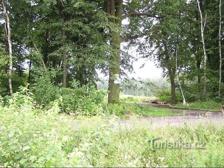 Vid den krokiga linden: Vid den krokiga linden - Vy över vägvisaren från riktning mot Hať