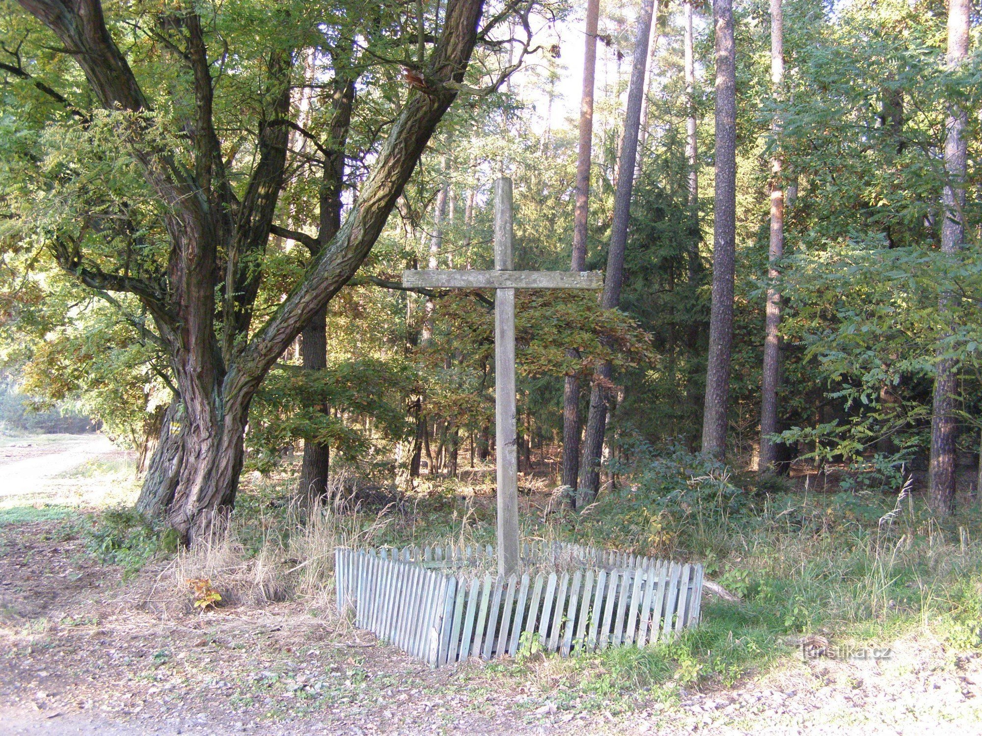 A la croisée des chemins - Hradecké lesy