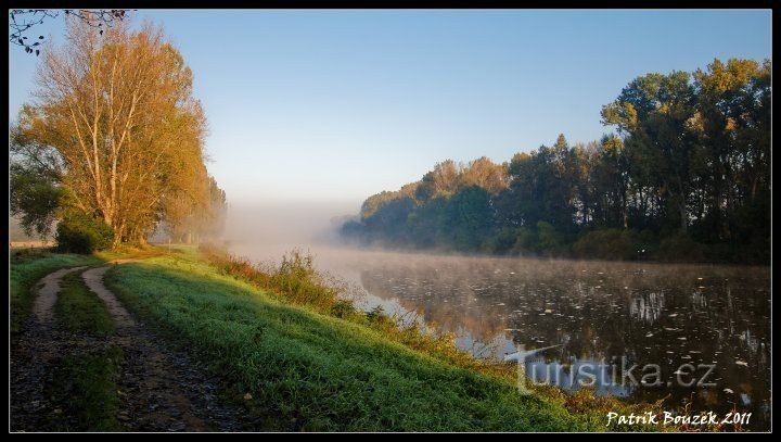 На Ельбі