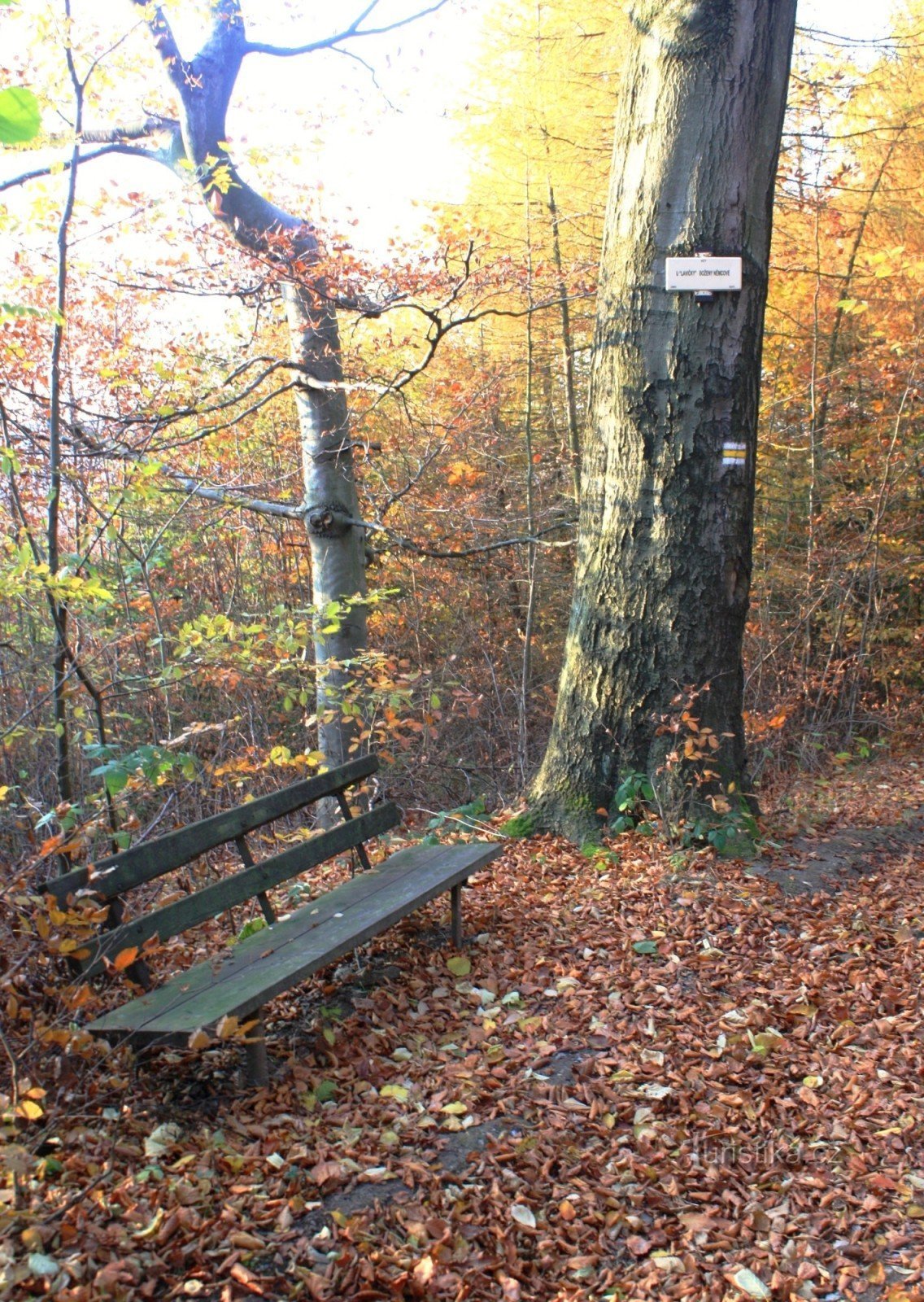 At Božena Němcová's bench