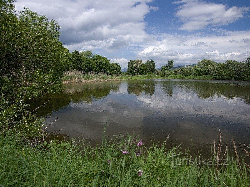 На Липі