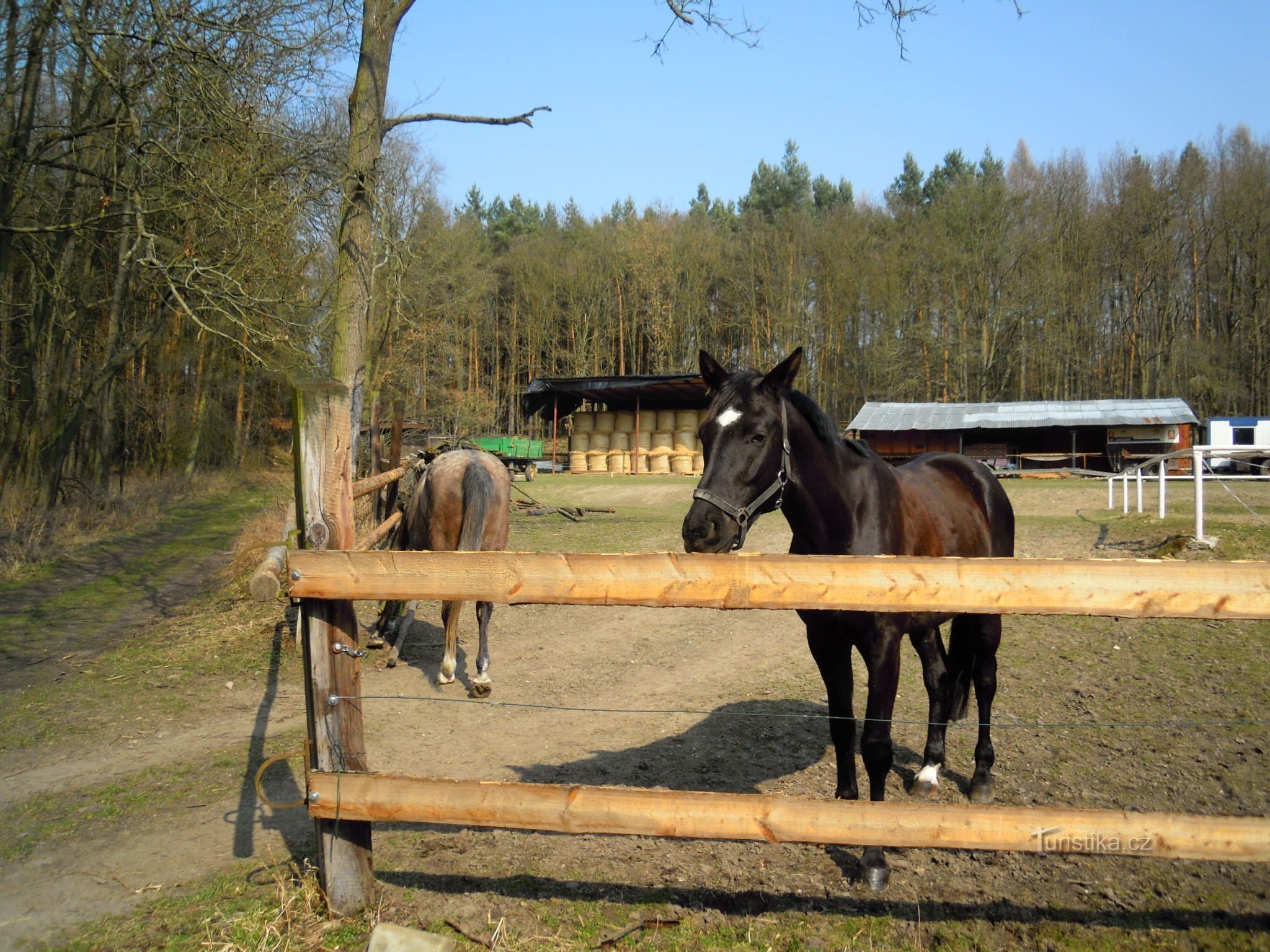 Loučeňská hajovnassa - metsästysmajassa