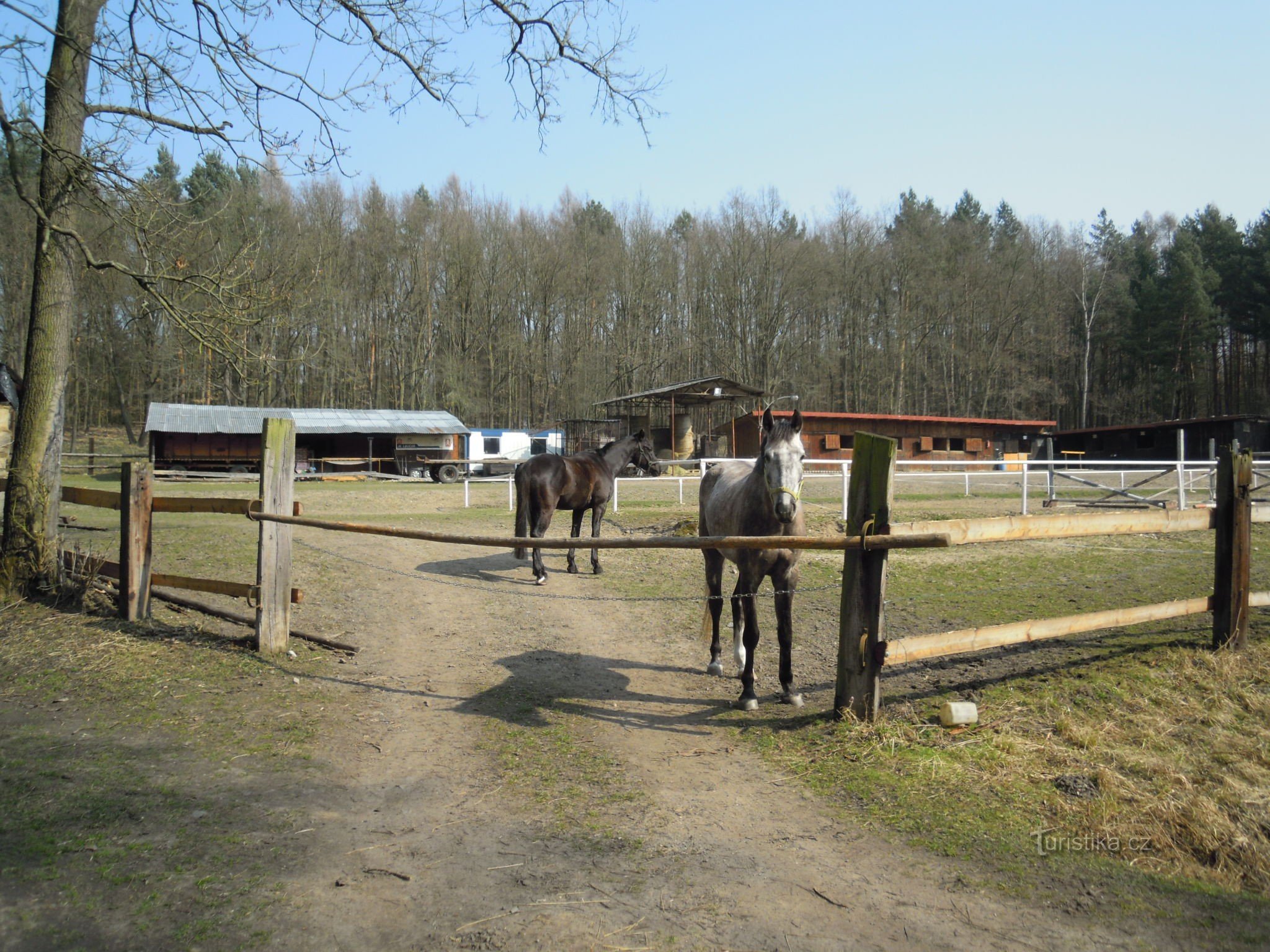 at Loučeňská hajovna - hunting lodge